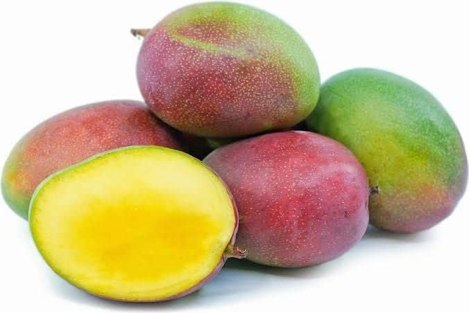 Alice Mango Aam Grafted Healthy Fruit Plant