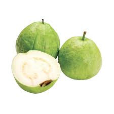 Alta Verapaz White Guava Air Layered Healthy Fruit Plant