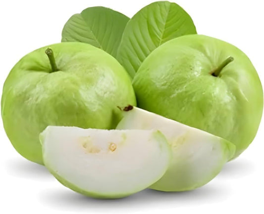Arka Amulya GuavaAir Layered Healthy Fruit Plant
