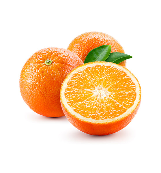 Atwood Navel Orange Grafted Healthy Fruit Plant