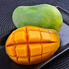 Baptist Mango Aam Grafted Healthy Fruit Plant