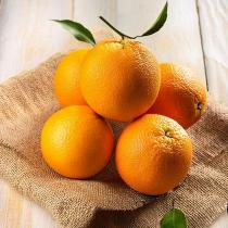 Batangas Mandarin Orange Grafted Healthy Fruit Plant