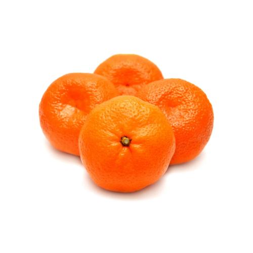 Beauty Mandarin Orange Grafted Healthy Fruit Plant