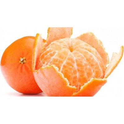 Central India Mandarin Orange Grafted Healthy Fruit Plant