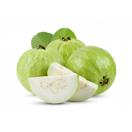 China Blanca Guava Air Layered Healthy Fruit Plant