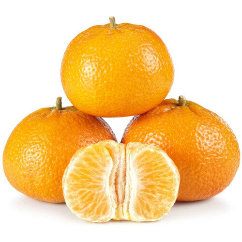Citrus Charm Orange Grafted Healthy Fruit Plant