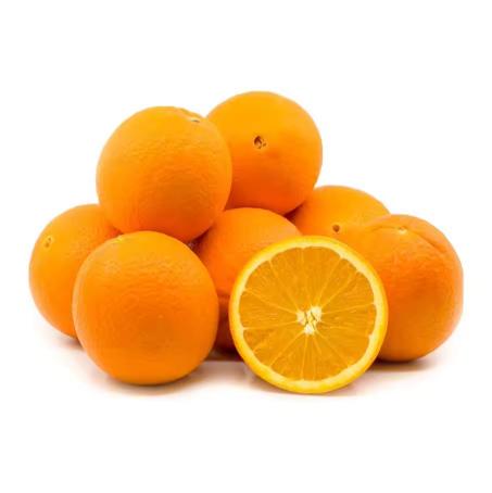 Citrus Elite Sweet Orange Grafted Healthy Fruit Plant