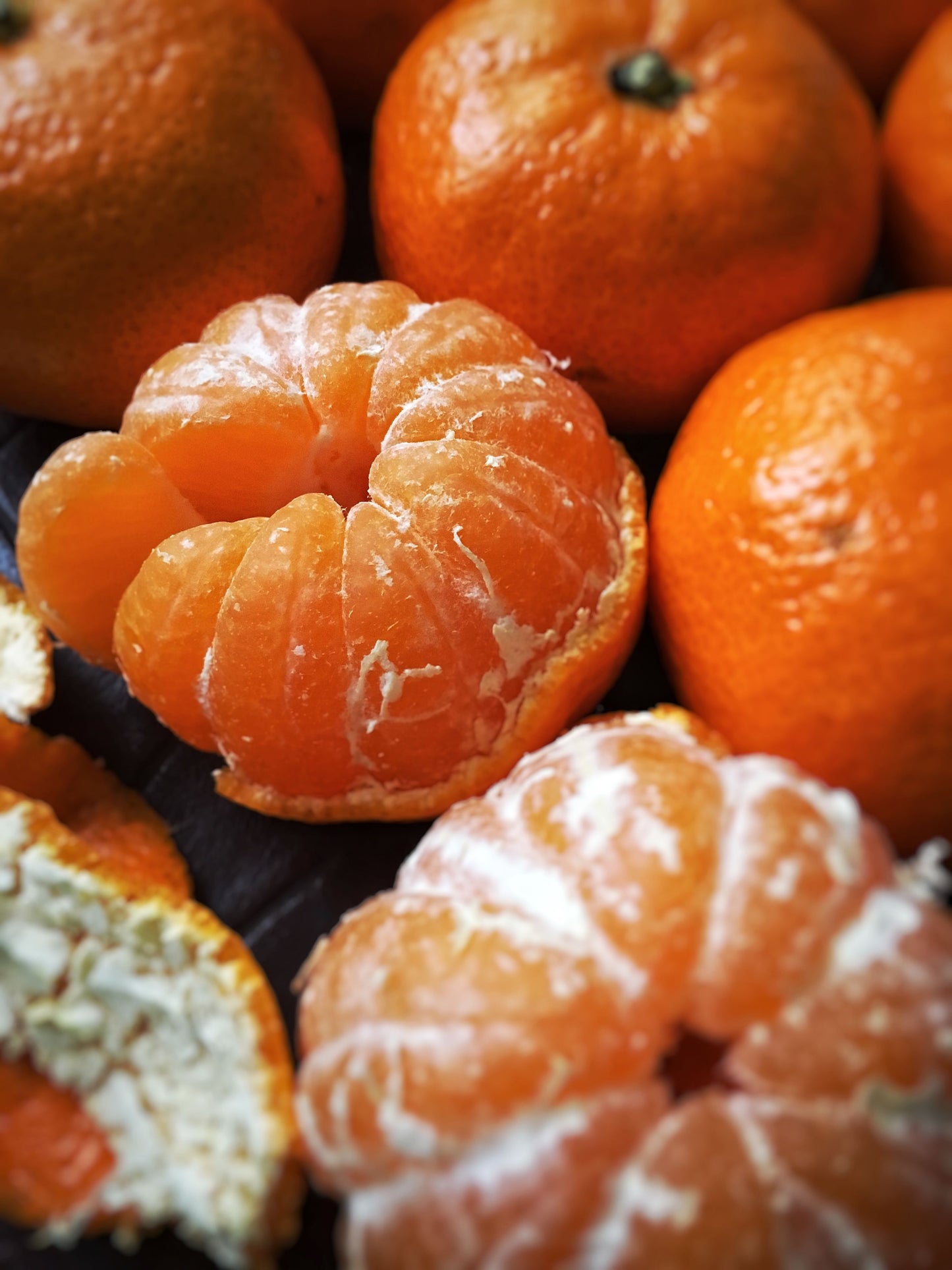Citrus Evening Prime Orange Grafted Healthy Fruit Plant
