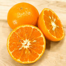Citrus Flame Sweet Orange Grafted Healthy Fruit Plant