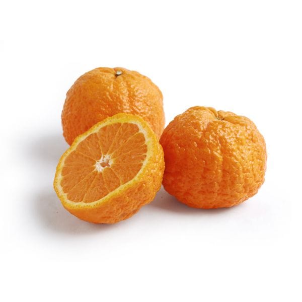 Citrus Golden Delight Orange Grafted Healthy Fruit Plant