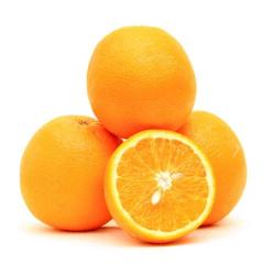 Citrus Heritage Gold Orange Grafted Healthy Fruit Plant