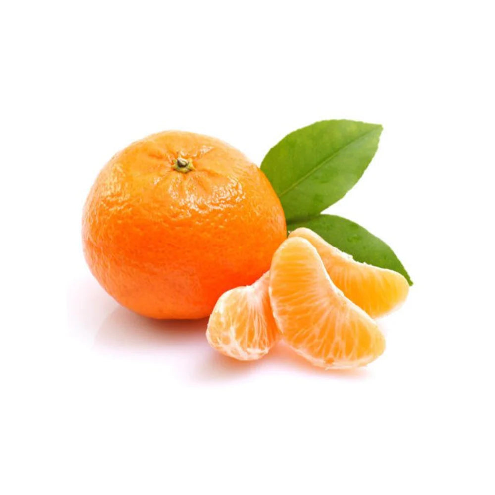 Citrus Morning Elite Orange Grafted Healthy Fruit Plant