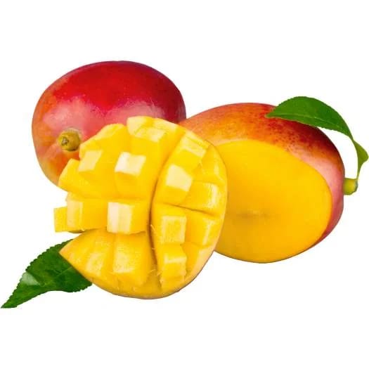 Edward Mango Aam Grafted Healthy Fruit Plant