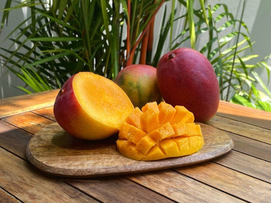 Edward Mango Aam Grafted Healthy Fruit Plant