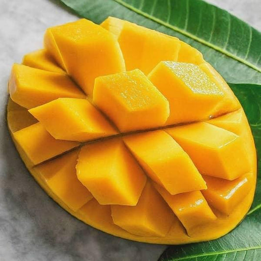 Florigon Mango Aam Grafted Healthy Fruit Plant