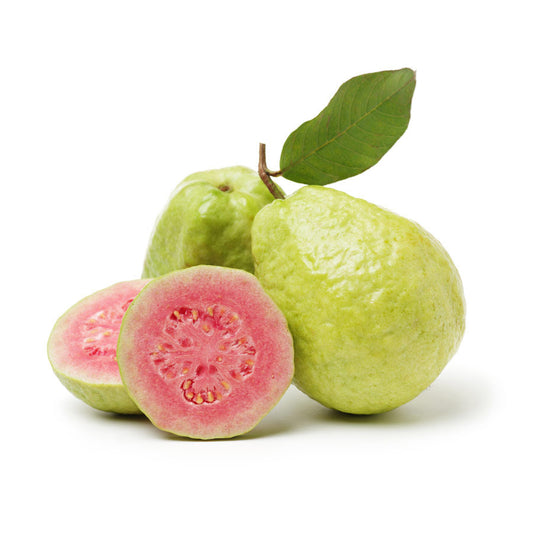 Hanoi Pink Guava Air Layered Healthy Fruit Plant