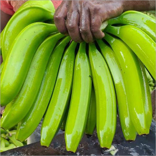 Hill Banana (Virupakshi) Healthy Sweet Tissue Cultured Fruit Plant