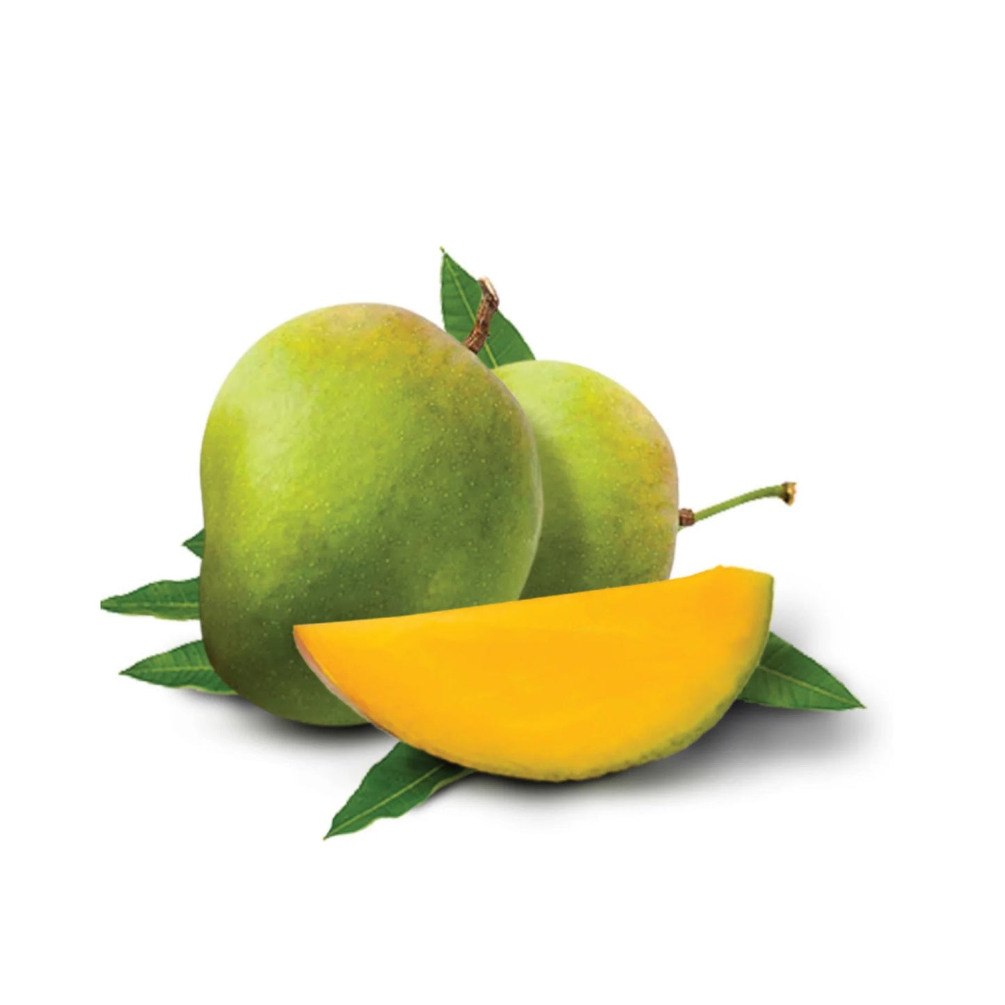 Himsagar Mango Aam Grafted Healthy Fruit Plant