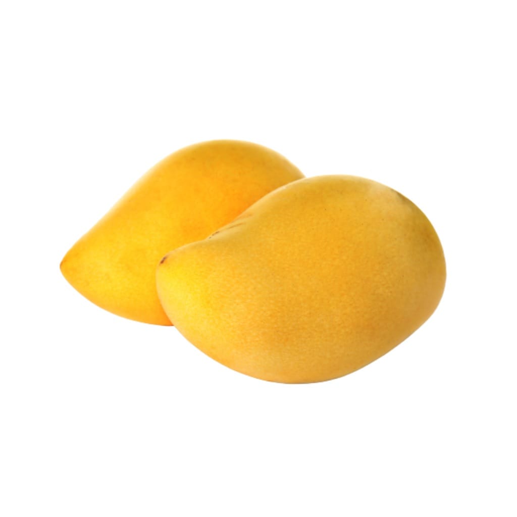 Honey (Ataulfo) Mango Aam Grafted Healthy Fruit Plant