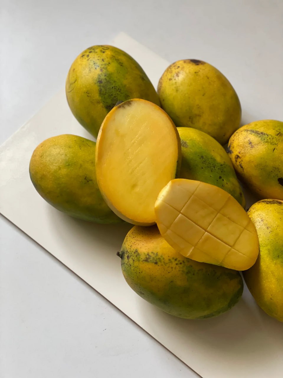 Imam Pasand Mango Aam Grafted Healthy Fruit Plant