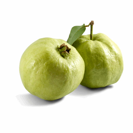 Iraq White Guava Air Layered Healthy Fruit Plant