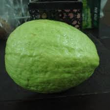 Island Pearl Guava Air Layered Healthy Fruit Plant