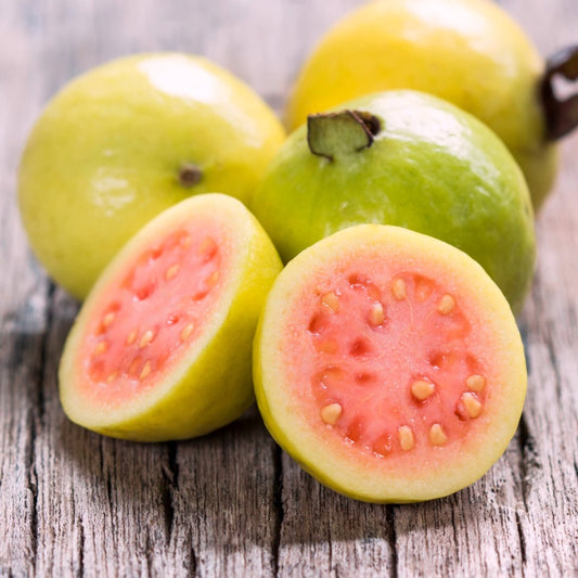 Israeli Pink Guava Air Layered Healthy Fruit Plant