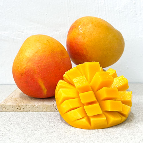 Jean Ellen Mango Aam Grafted Healthy Fruit Plant