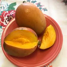 Juliet Mango Aam Grafted Healthy Fruit Plant