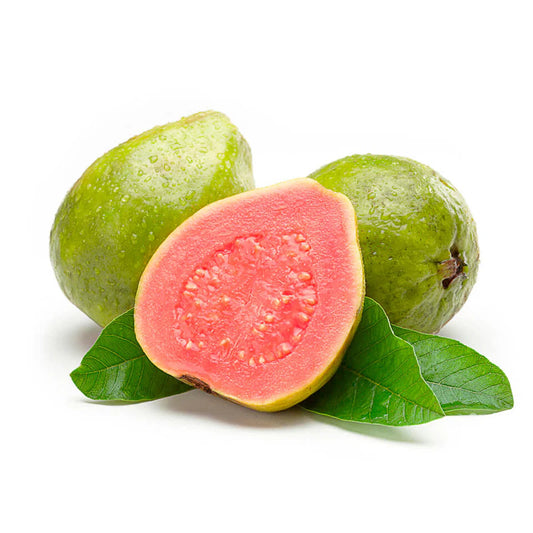 Kaveri Pink Guava Air Layered Healthy Fruit Plant