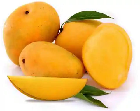 Konkan Ruchi Mango Aam Grafted Healthy Fruit Plant