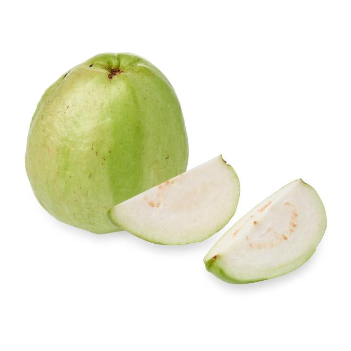 Krishna White Guava Air Layered Healthy Fruit Plant