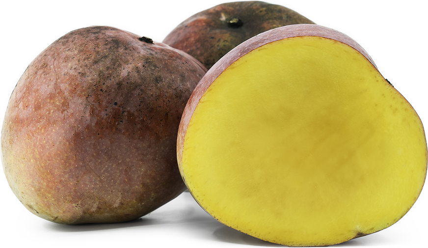 Manzanillo Mango Aam Grafted Healthy Fruit Plant