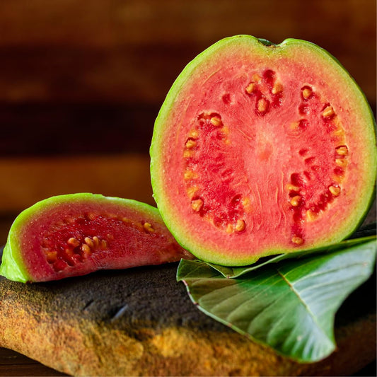 Moroccan Pink Guava Air Layered Healthy Fruit Plant