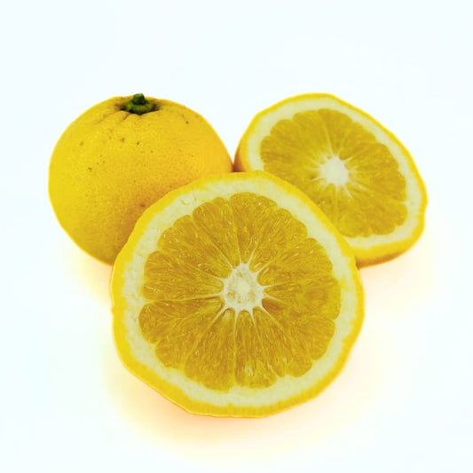 New Zealand Lemonade Lemon Plant Live Nimbu Tree Kagzi Lemon Citrus Limon Fruit Plant