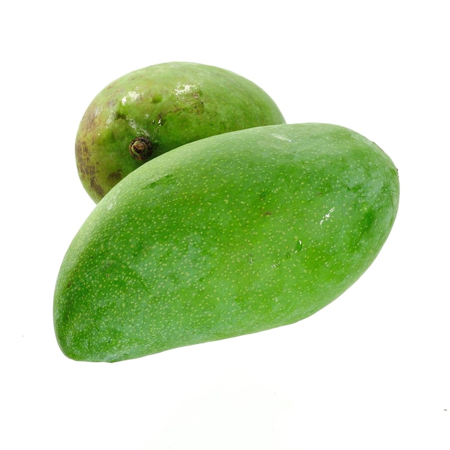 Ok Rong Mango Aam Grafted Healthy Fruit Plant