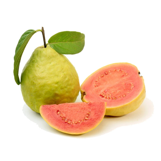 Pedro Sato Guava Air Layered Healthy Fruit Plant