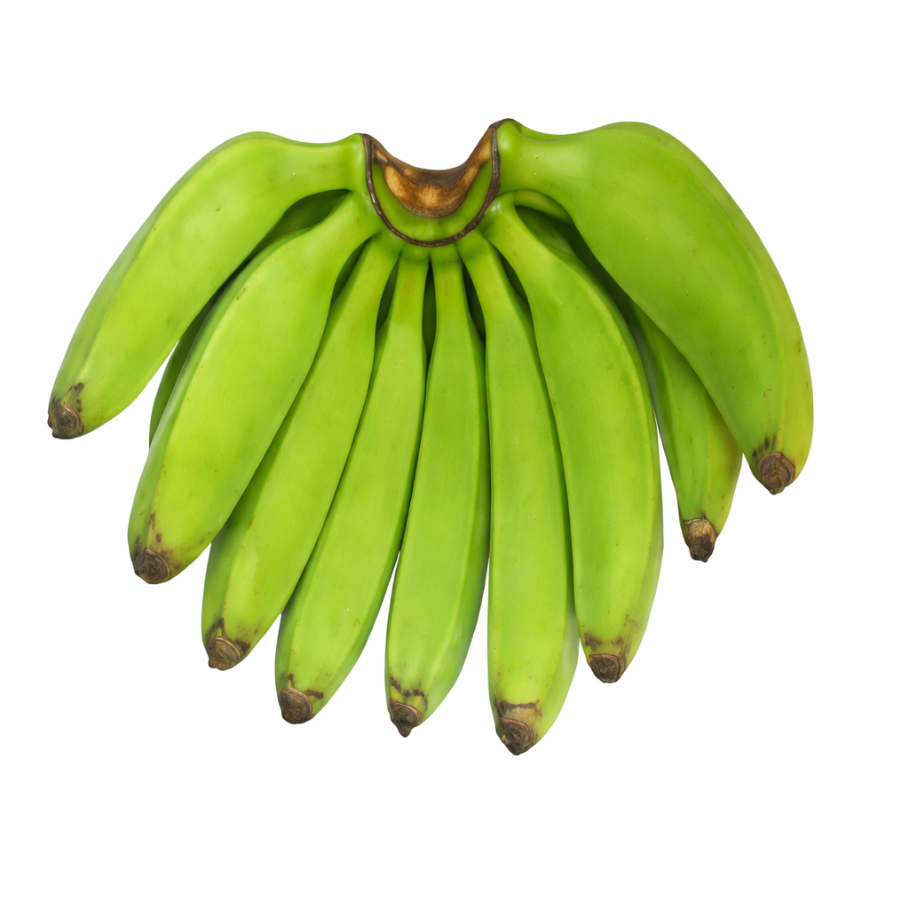 Plantain (Horn Plantain) Banana Healthy Sweet Tissue Cultured Fruit Plant