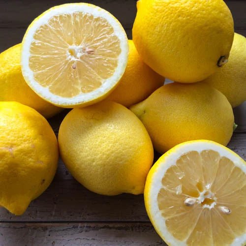 Primofiori Lemon Plant Live Nimbu Tree Kagzi Lemon Citrus Limon Fruit Plant
