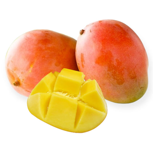 Ruby Mango Aam Grafted Healthy Fruit Plant