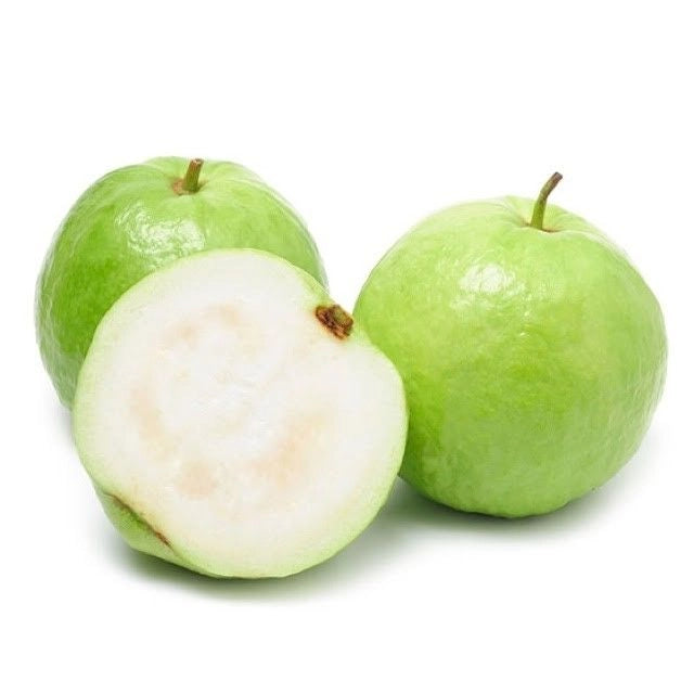 Seedless Guava Air Layered Healthy Fruit Plant