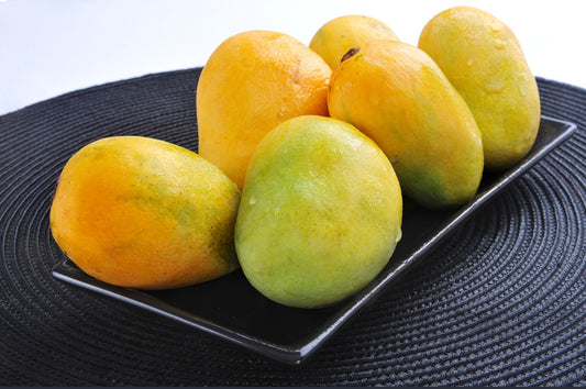 Sindhri Mango Aam Grafted Healthy Fruit Plant