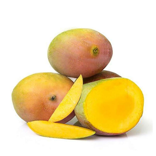 Sindhura Mango Aam Grafted Healthy Fruit Plant