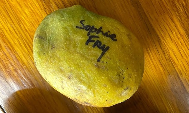 Sophie Fry Mango Aam Grafted Healthy Fruit Plant