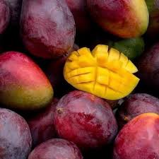Strawberry Mango Aam Grafted Healthy Fruit Plant