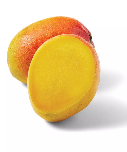 Sunset Mango Aam Grafted Healthy Fruit Plant