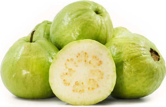 Sweet Giant Guava Air Layered Healthy Fruit Plant