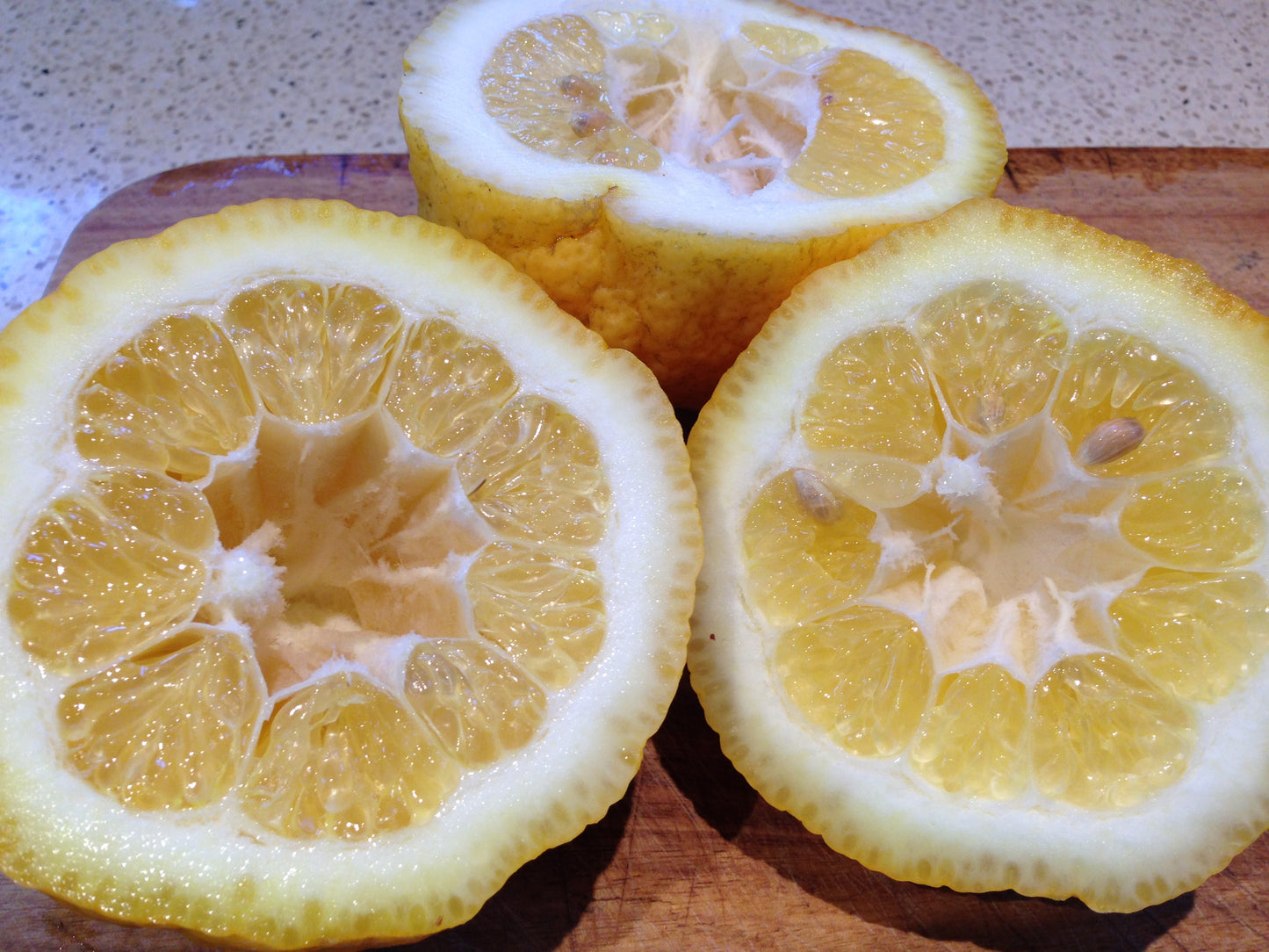 Sweet Rough Lemon Plant Live Nimbu Tree Kagzi Lemon Citrus Limon Fruit Plant