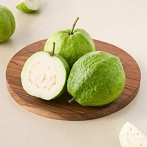 Trinidad White Guava Air Layered Healthy Fruit Plant