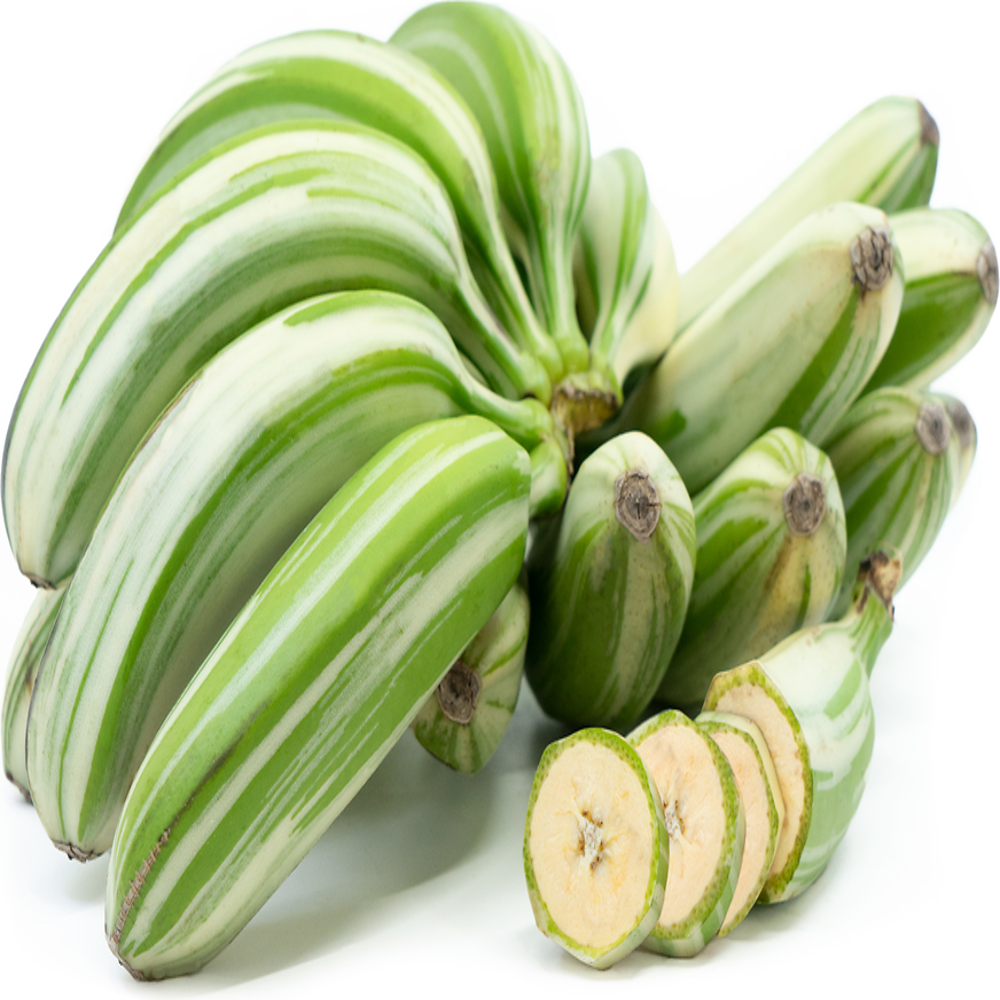 Ae Ae Banana (Variegated Banana) Healthy Sweet Tissue Cultured Fruit Plant